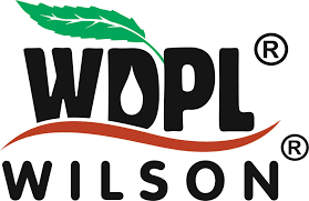 Wilson Drugs 