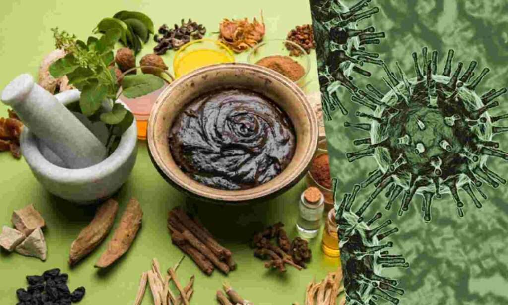 Ayurvedic PCD Companies in Bangalore
