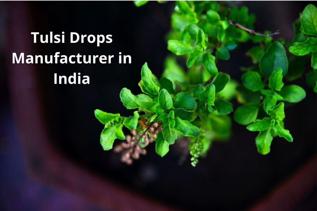 Tulsi Drops Manufacturer in India